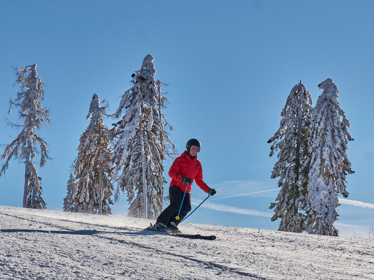 Skifahren auf weißen Pisten in Bodenmais Eine Frau beim Skifahren auf einer verschneiten Piste in Bodenmais, Bayerischer Wald